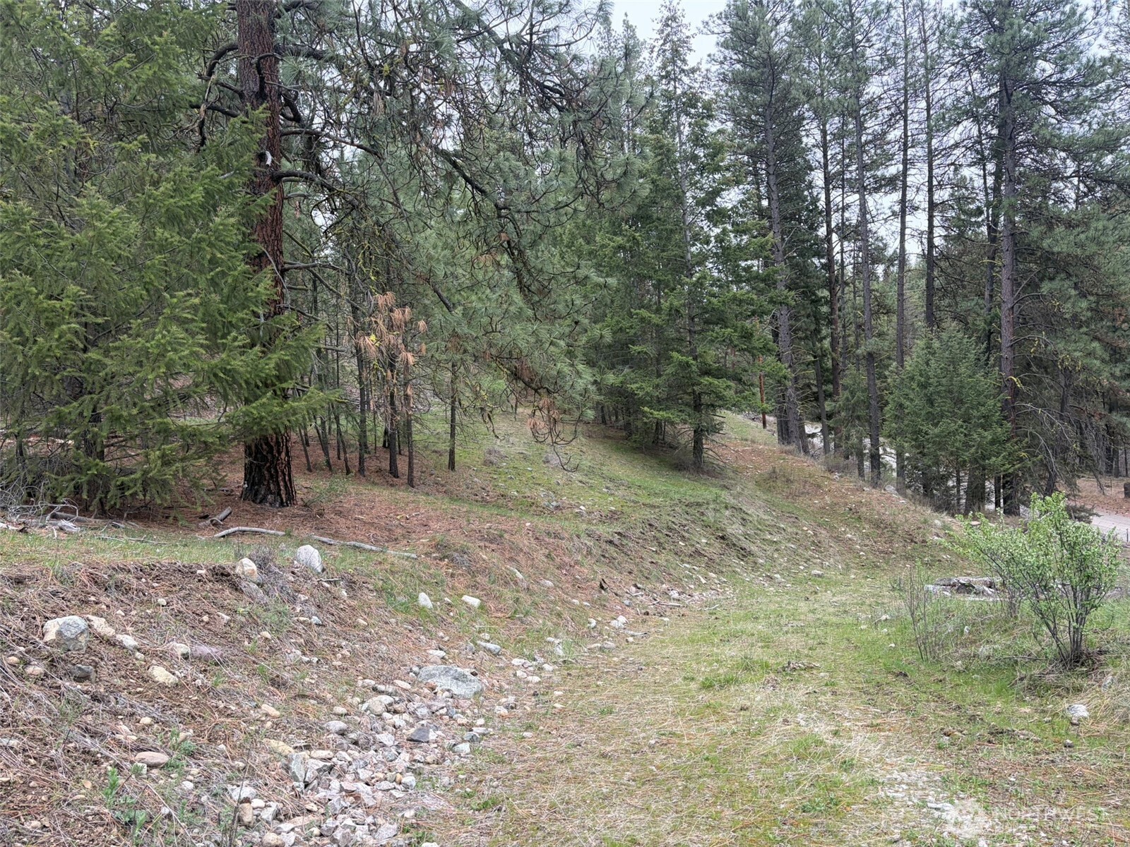 111-tbd Fish Hatchery Road Republic, WA 99166 - Photo 7 of 15