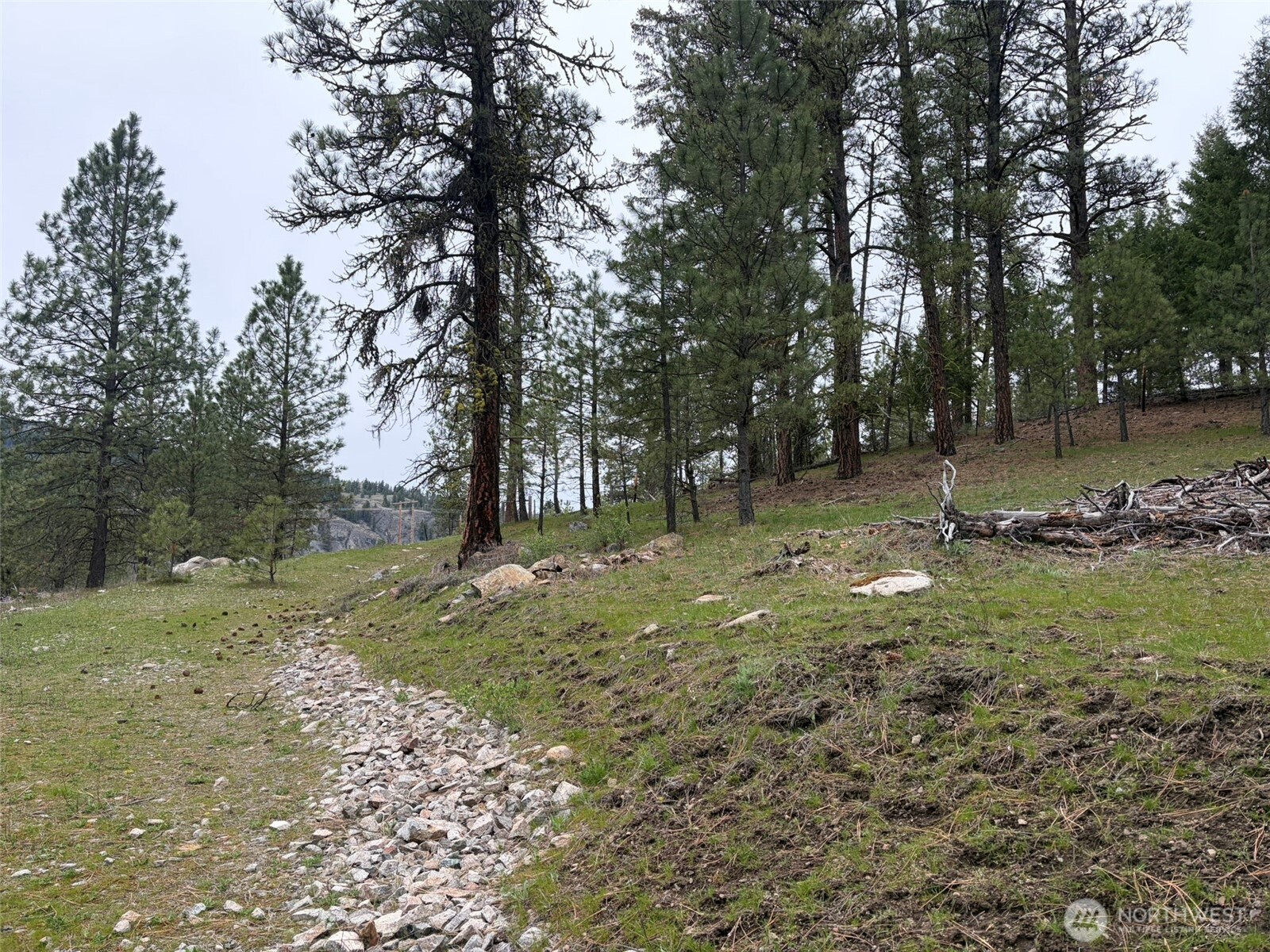 111-tbd Fish Hatchery Road Republic, WA 99166 - Photo 8 of 15