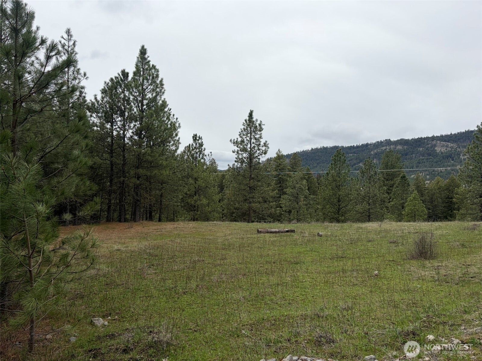 111-tbd Fish Hatchery Road Republic, WA 99166 - Photo 10 of 15