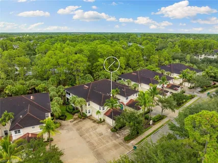 a view of a bunch of trees
