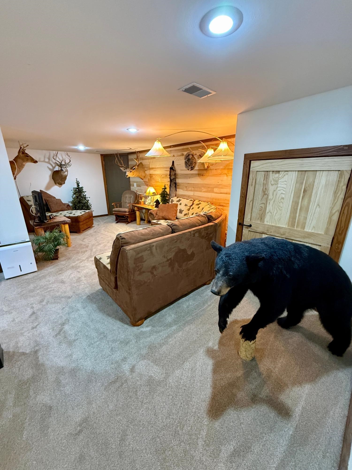 10543 Pat Phalen Road Crandon, WI 54520 - Photo 26 of 60