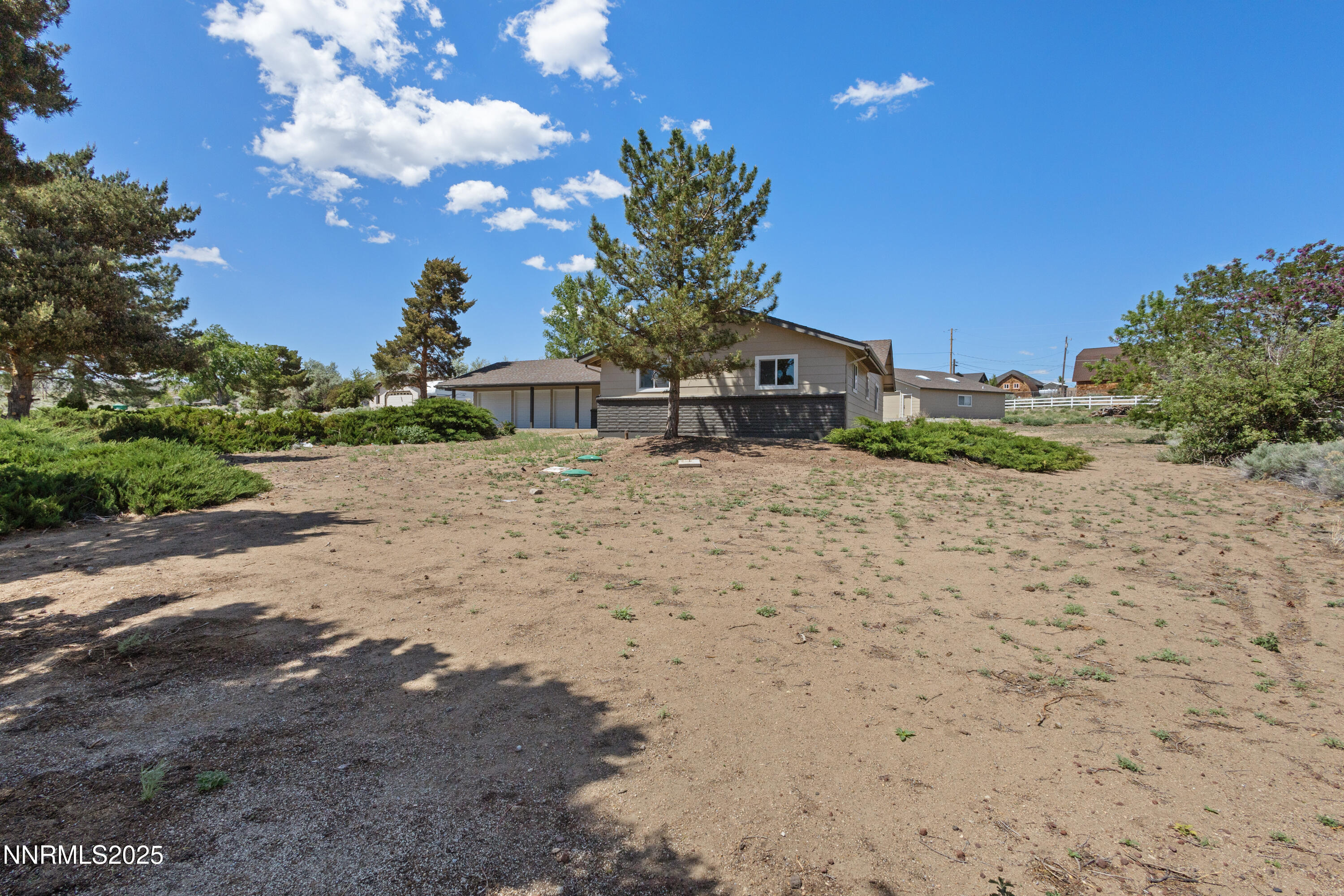 10835 Silver Knolls Boulevard Reno, NV 89508 - Photo 3 of 43 a plant in the middle of a yard