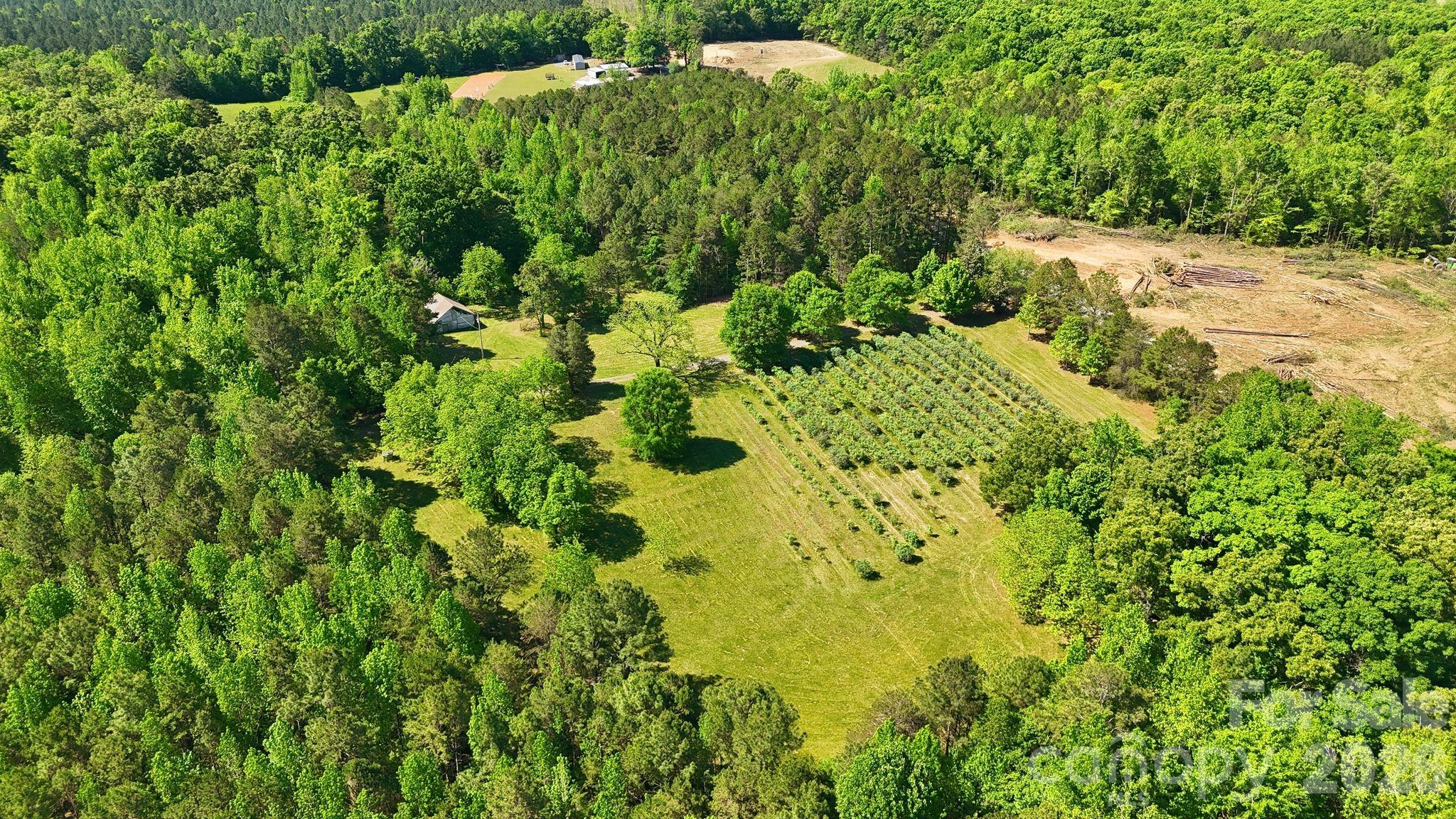 2275 River Road Richfield, NC 28137 - Photo 4 of 44 a view of a yard with plants