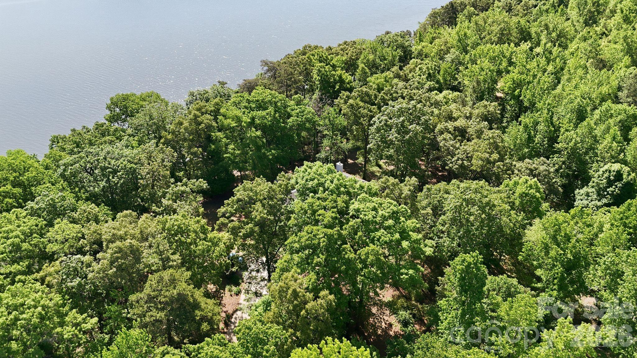 2275 River Road Richfield, NC 28137 - Photo 7 of 44 view of a lush green forest