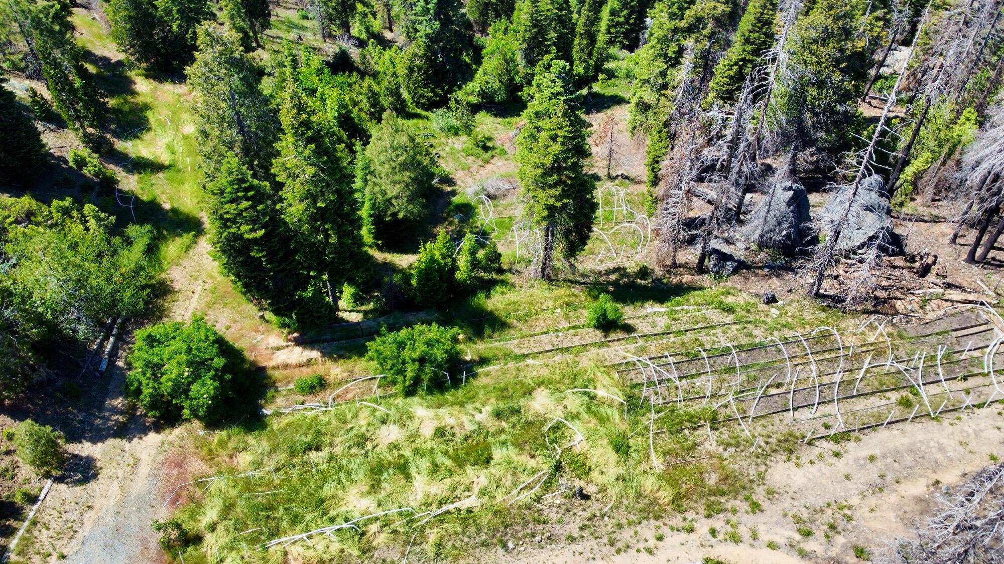 40-acres 40-acres Ammon Ridge Road Willow Creek, CA 95573 - Photo 5 of 28