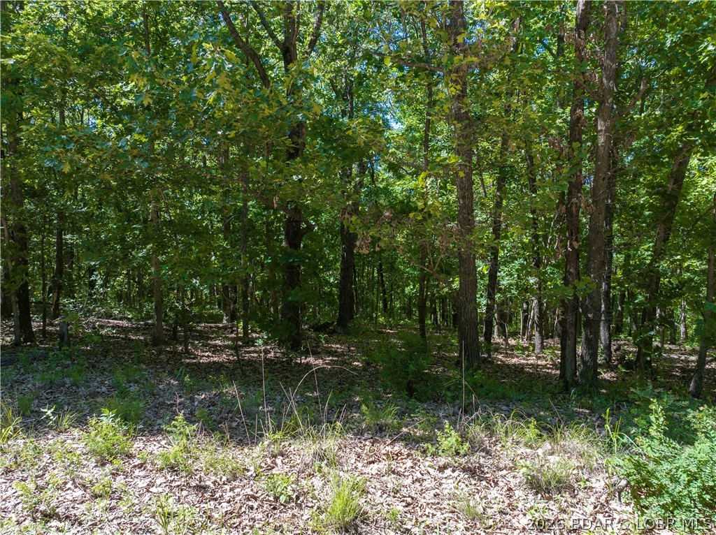Valley Spring Road Camdenton, MO 65020 - Photo 8 of 19