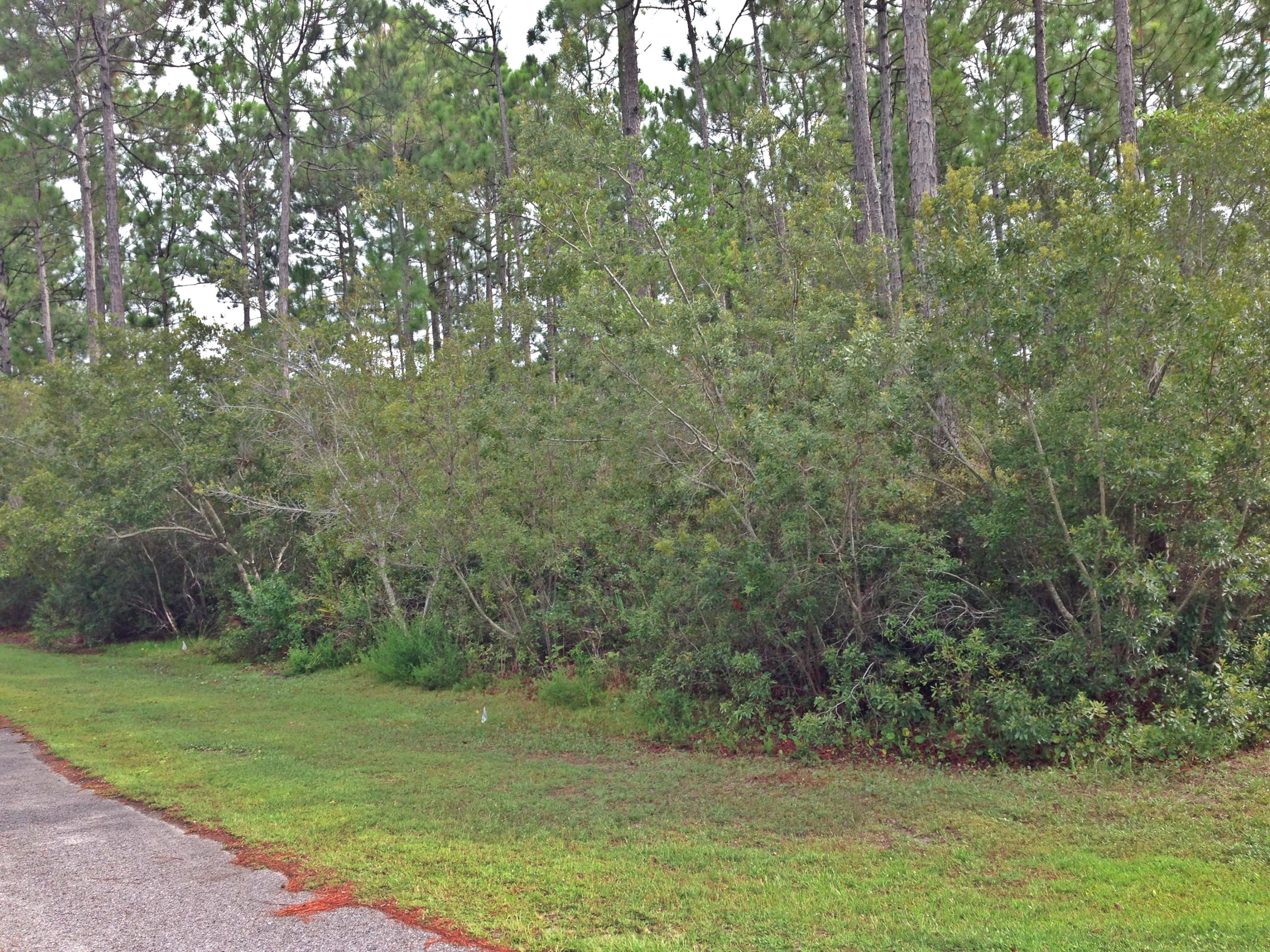 Lot 45 Fern Way Point Santa Rosa Beach, FL 32459 - Photo 1 of 13 Gallery Image 1