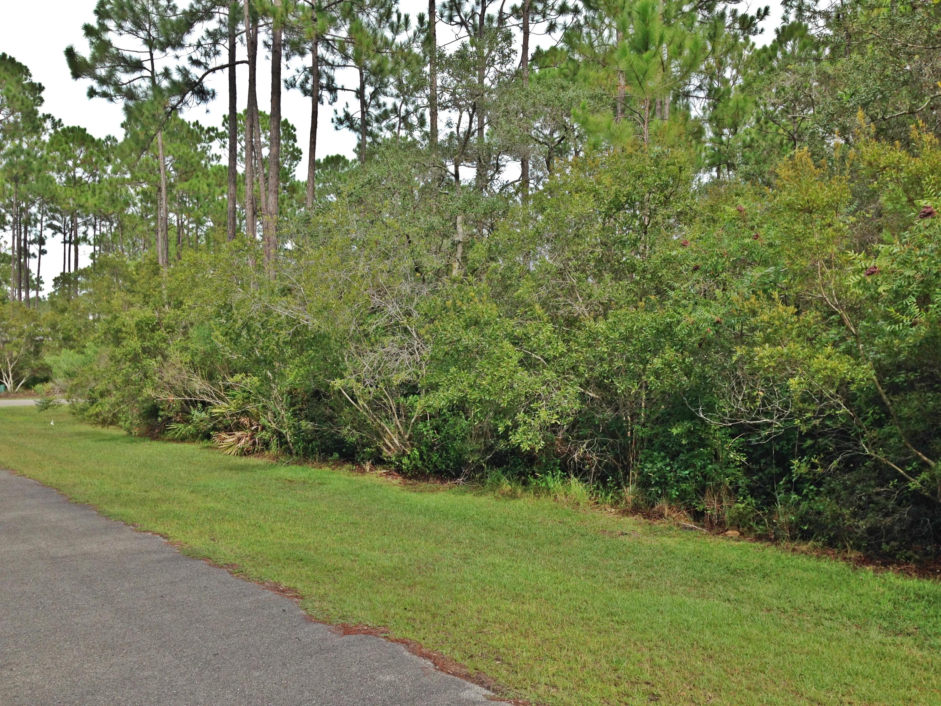 Lot 45 Fern Way Point Santa Rosa Beach, FL 32459 - Photo 11 of 13 Gallery Image 11