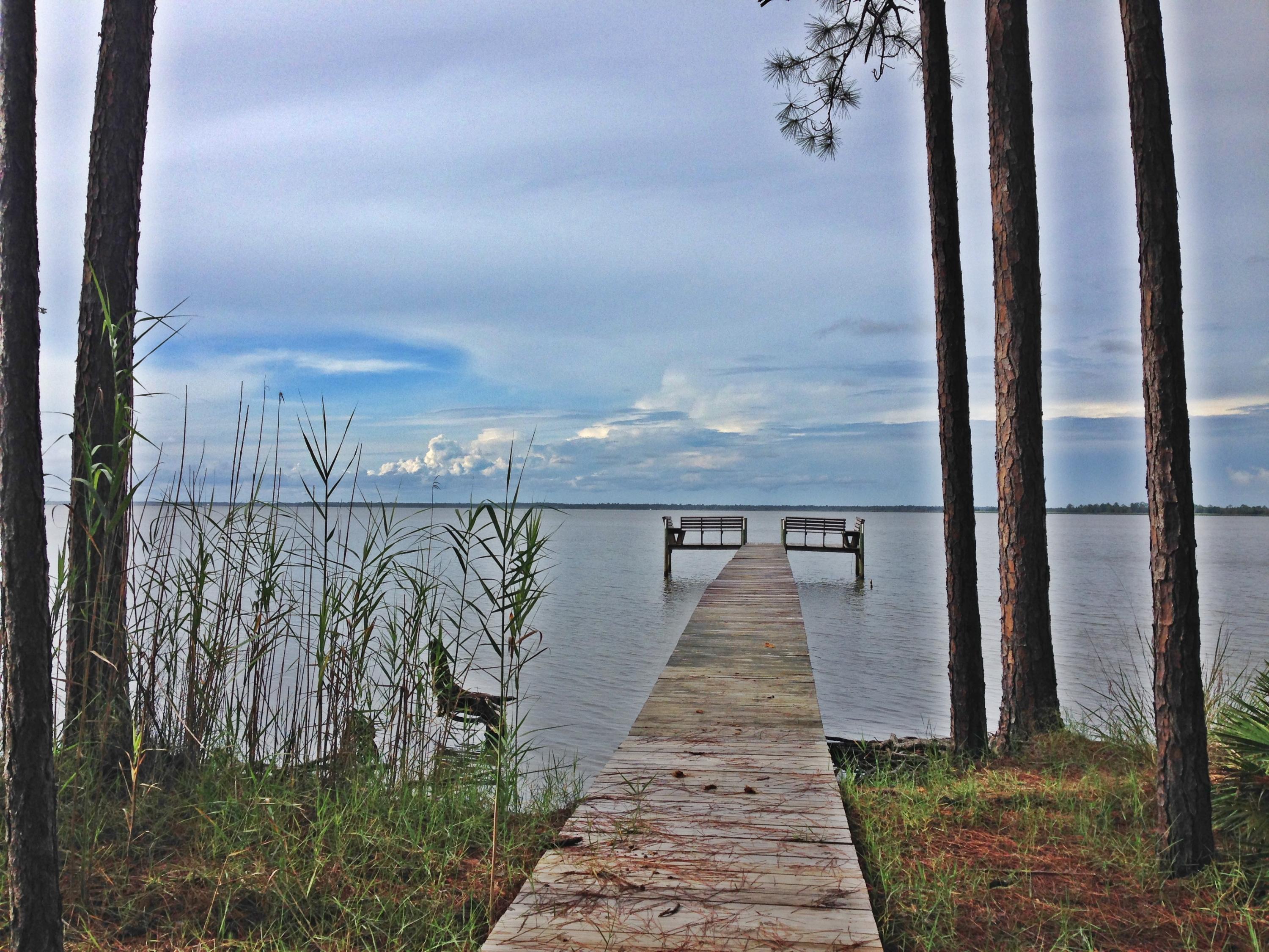 Lot 45 Fern Way Point Santa Rosa Beach, FL 32459 - Photo 4 of 13 Gallery Image 4