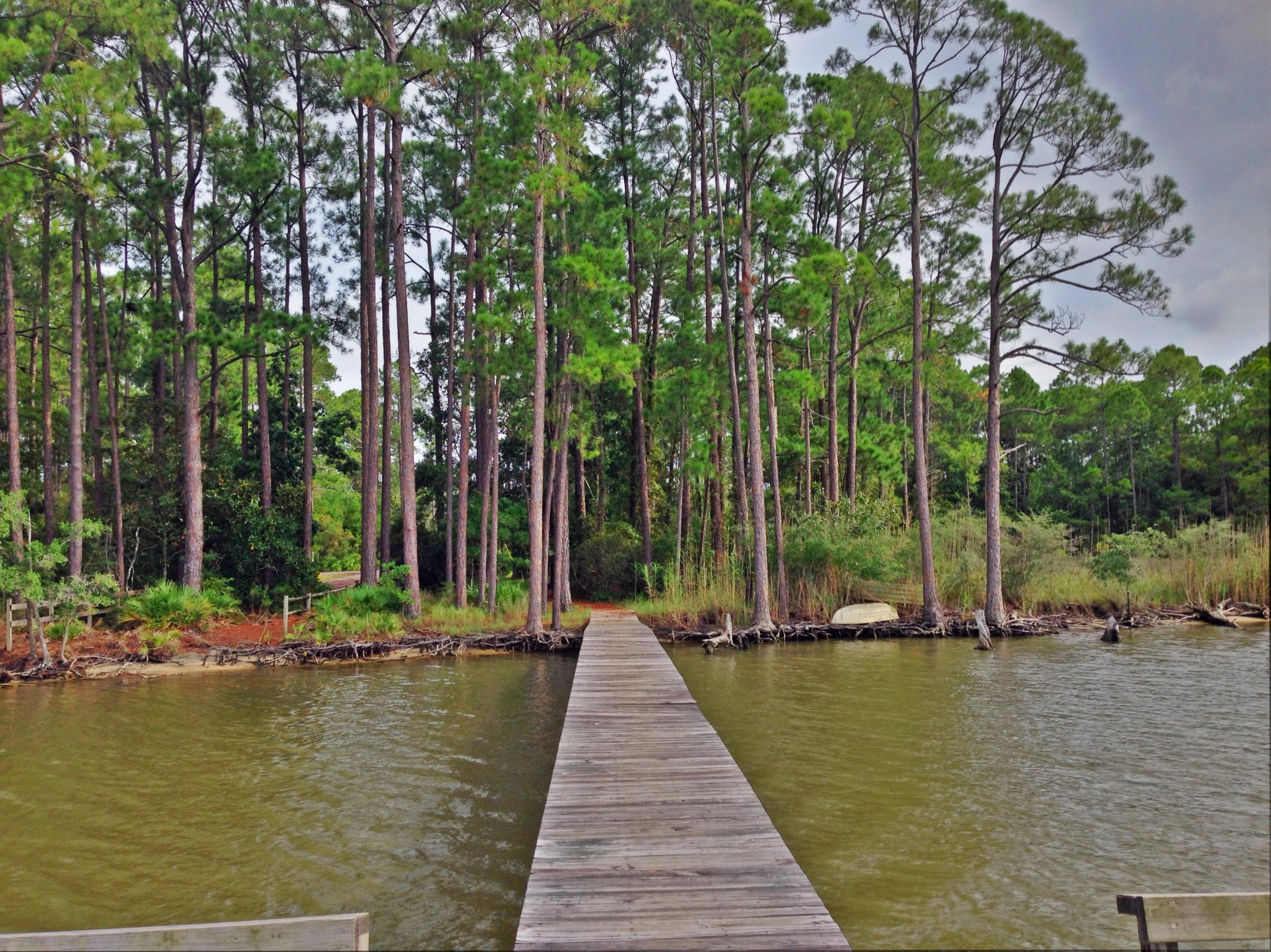Lot 45 Fern Way Point Santa Rosa Beach, FL 32459 - Photo 6 of 13 Gallery Image 6