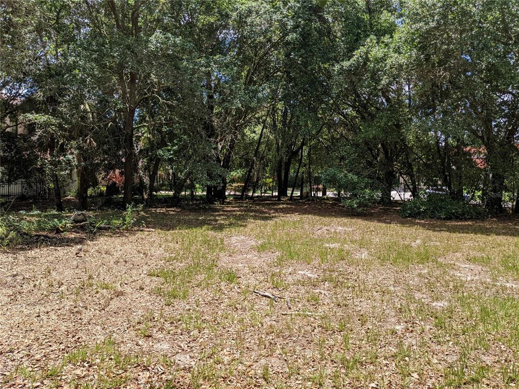 4219 Clarice Estates Drive Windermere, FL 34786 - Photo 1 of 1 a view of swimming pool with an outdoor space