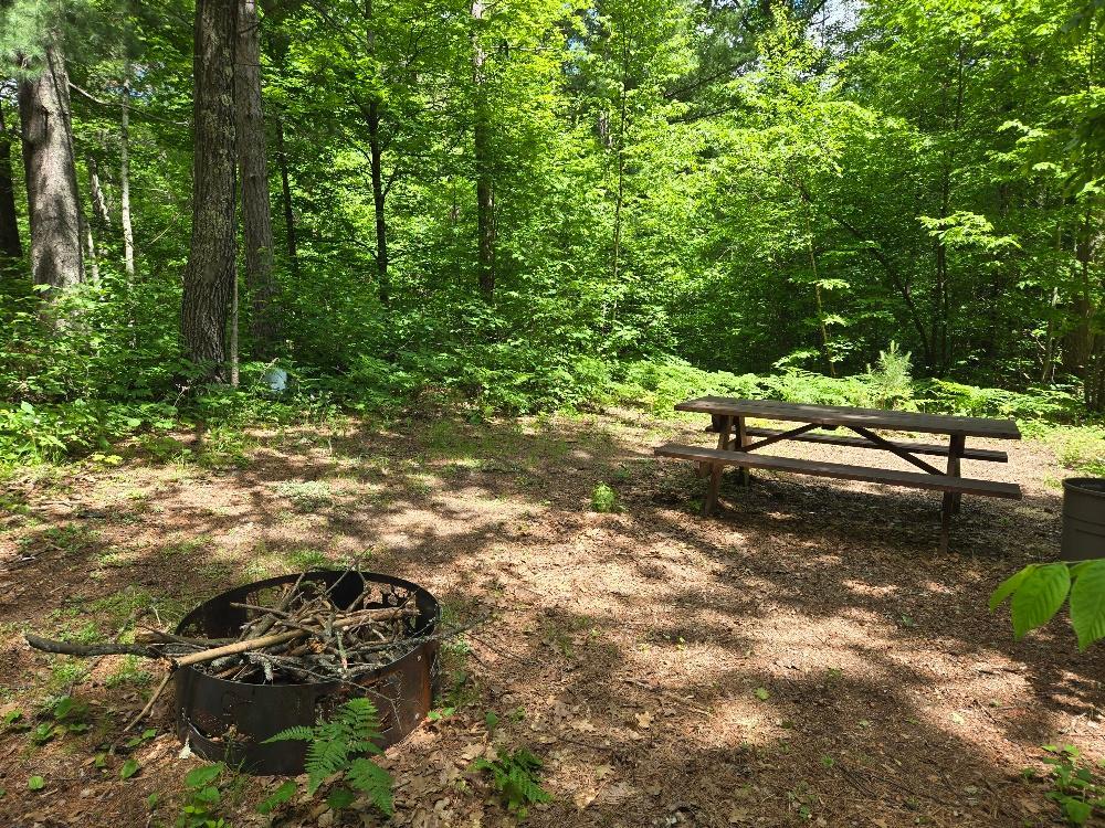 Tbd Tbd Fs2564d Remer, MN 56672 - Photo 8 of 18