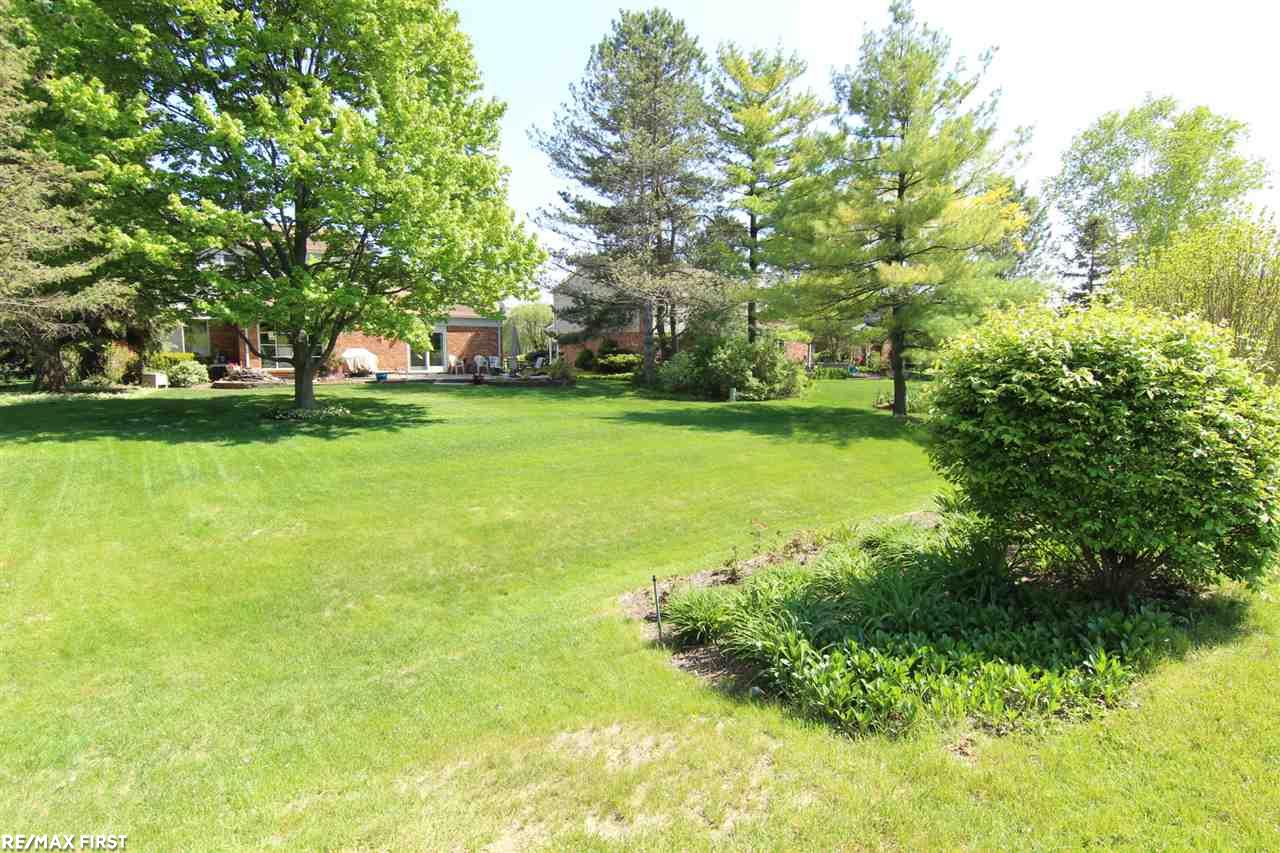 710 Lion Street Rochester Hills, MI 48307 - Photo 7 of 41