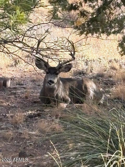4835 East Mallard Drive Rimrock, AZ 86335 - Photo 45 of 46 IMG_0134.HEIC