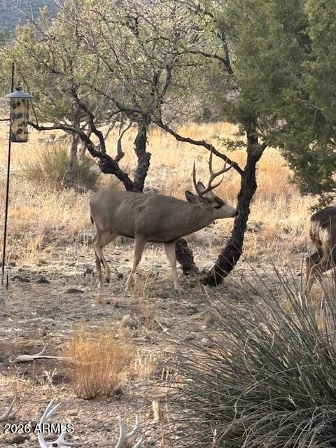 4835 East Mallard Drive Rimrock, AZ 86335 - Photo 46 of 46 IMG_0152.HEIC