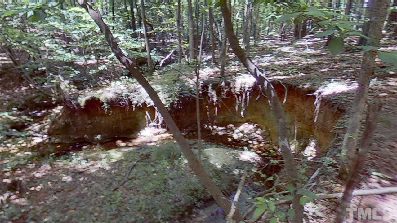 209 Bobbitt Road Clayton, NC 27520 - Photo 22 of 22 Gallery Image 22