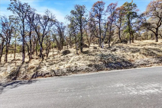 a view of a road with a yard