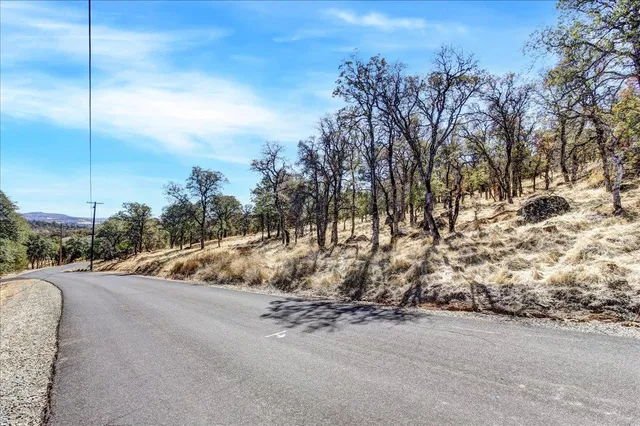 a view of empty yard with trees