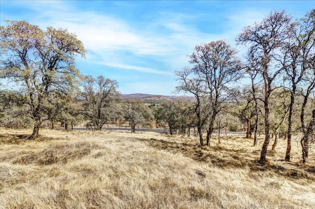 a view of outdoor space yard and trees