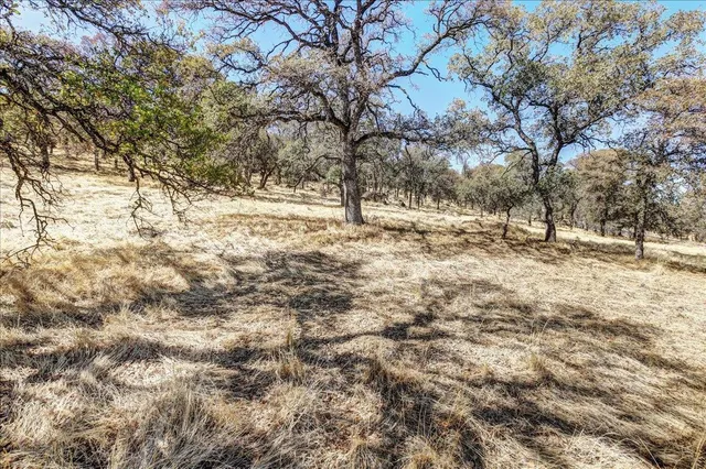 a view of a street with a building in the background