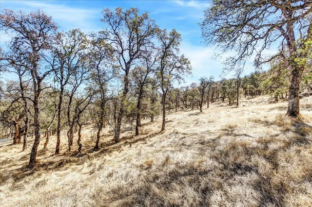 a view of covered with snow