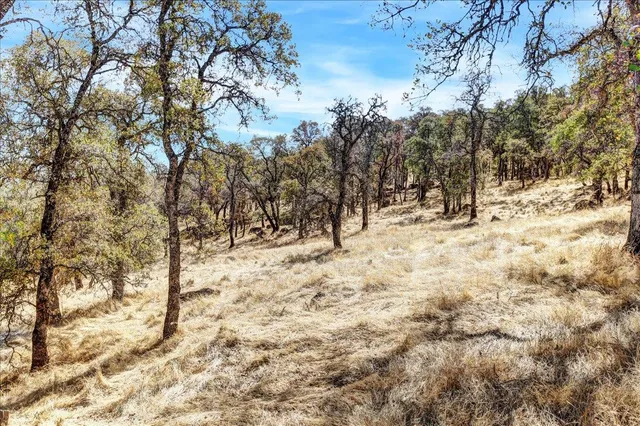a view of road covered with snow