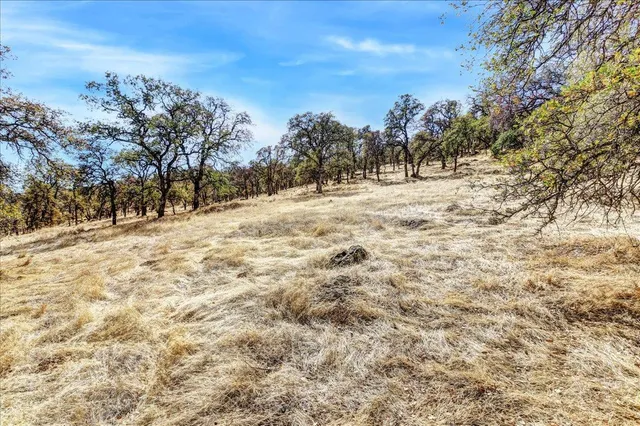 a view of a road with a snow on the road