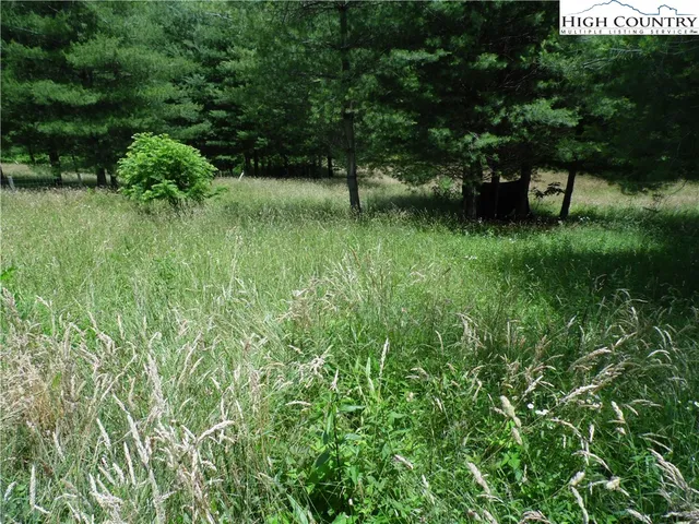 a green field with lots of bushes