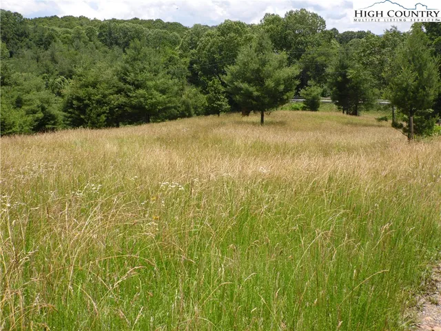 a view of a yard with a tree