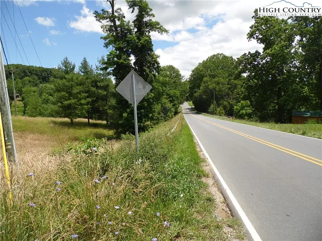 a view of a yard with plants