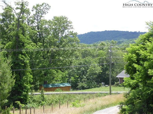 a view of a lush green field with a tree in the background