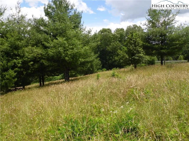 a view of a yard with an outdoor space