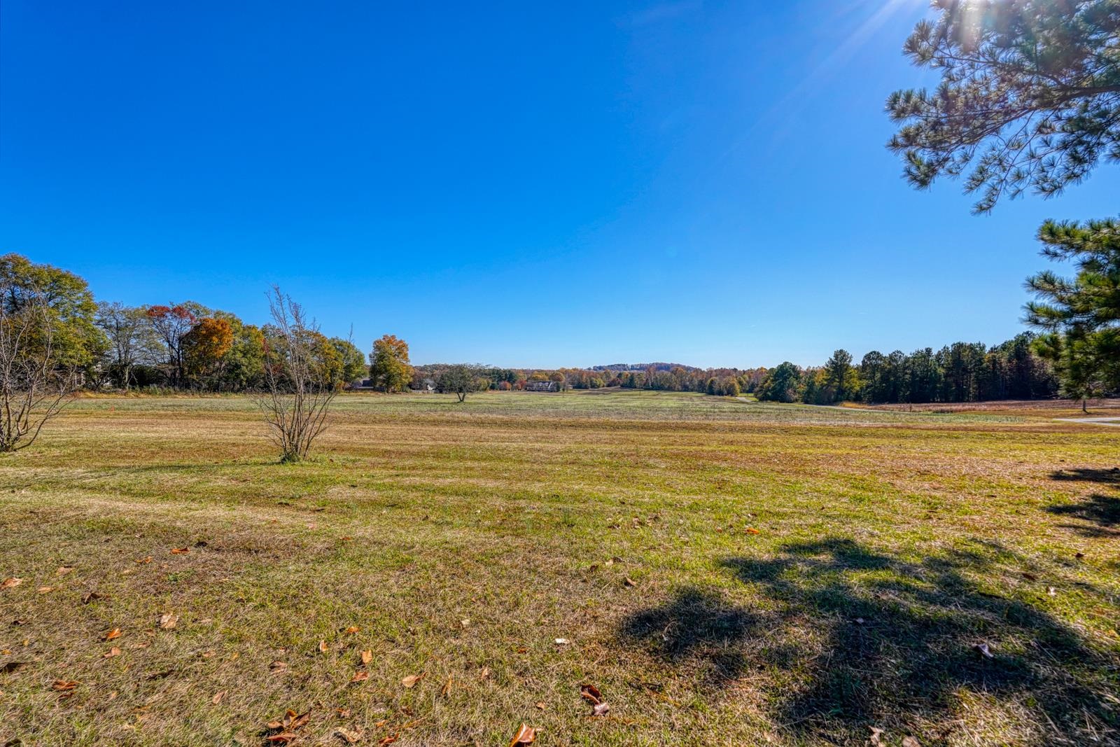 151 Suddeth Road Inman, SC 29349 - Photo 4 of 50