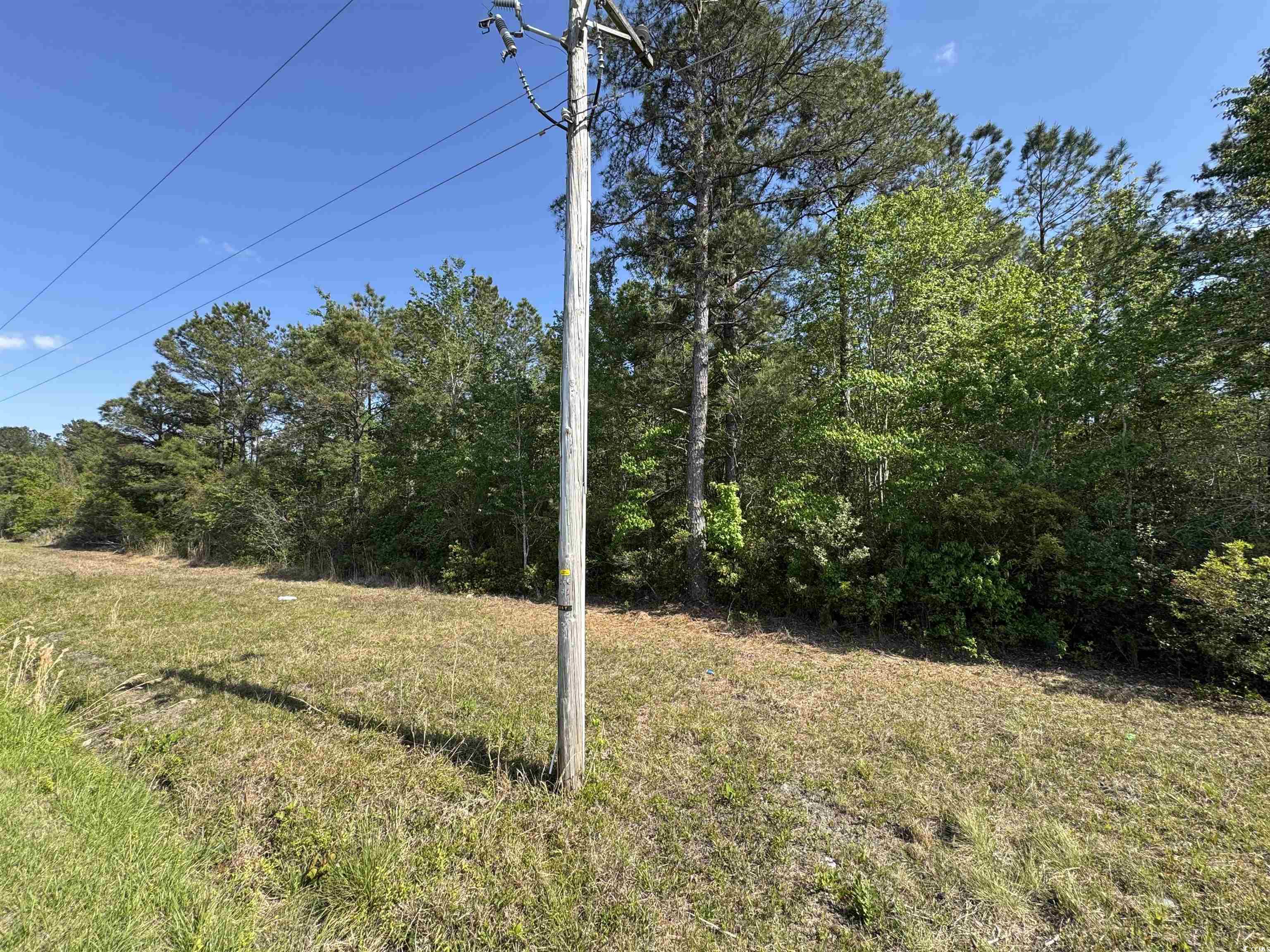 Tbd Airport Road Loris, SC 29569 - Photo 4 of 5 View of yard