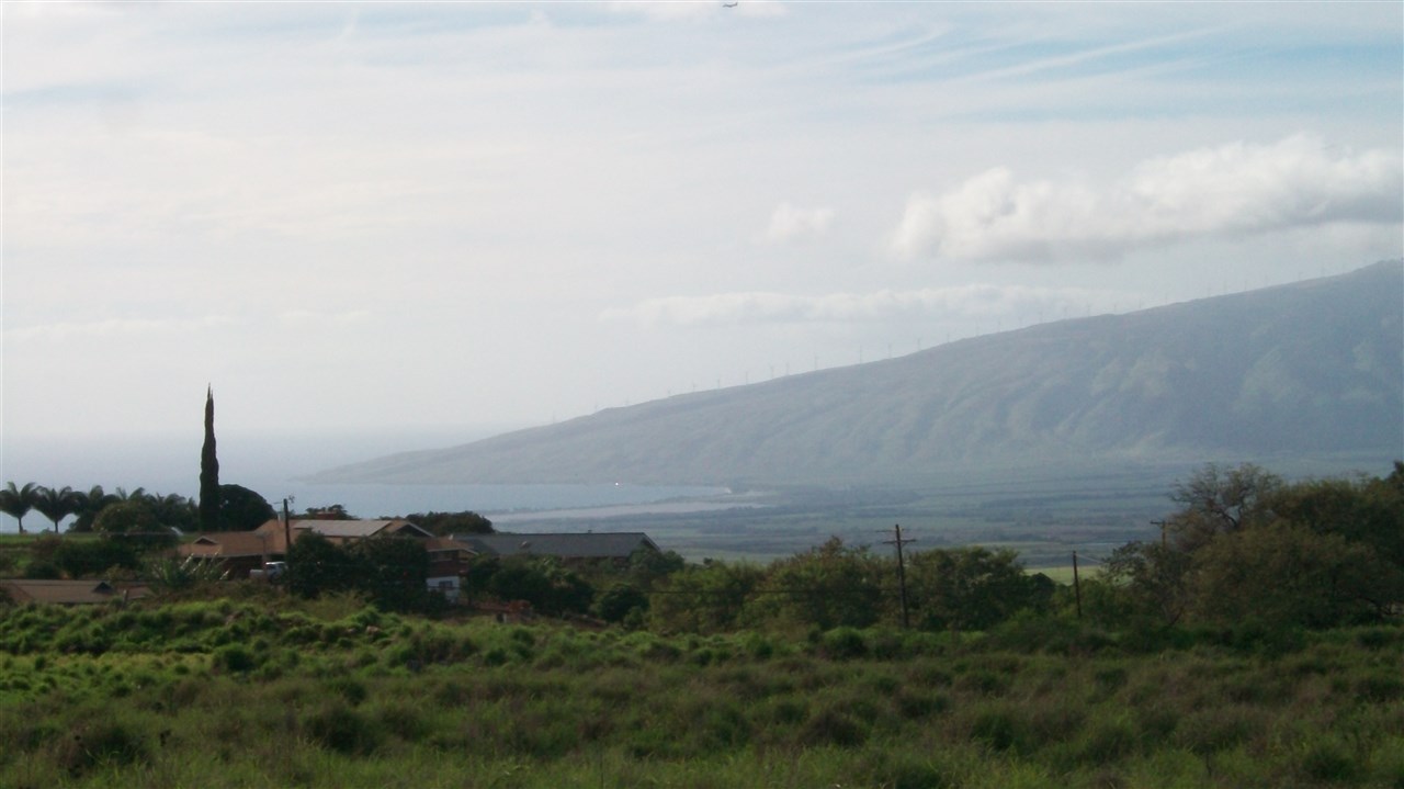 0 Omaopio Road, Unit 1 Kula, HI 96790 - Photo 2 of 24 a view of a field of grass and trees