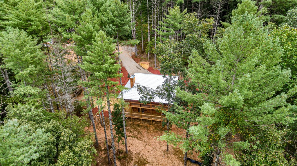 110 Pigeon Creek Road Blue Ridge, GA 30513 - Photo 59 of 64 Gallery Image 59