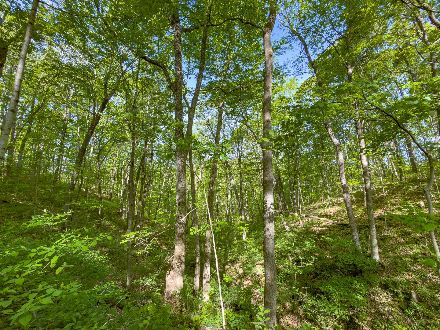 1 Perry Ridge Road Wilkesville, OH 45695 - Photo 17 of 19 Perry Ridge Rd Tract 1-13
