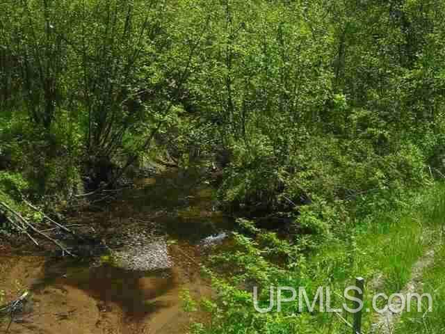Tbd Menge Creek Road Lanse, MI 49908 - Photo 1 of 9