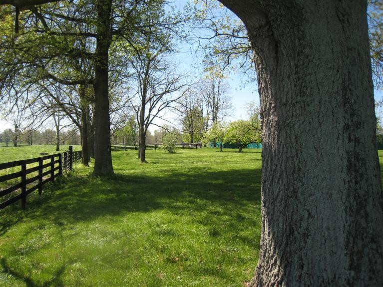 4750 Lexington Road Paris, KY 40361 - Photo 6 of 41 Photo 6