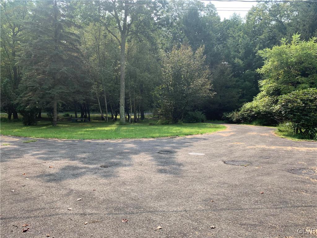 343 Haney Road Kunkletown, PA 18058 - Photo 6 of 27 a view of a yard with plants and trees