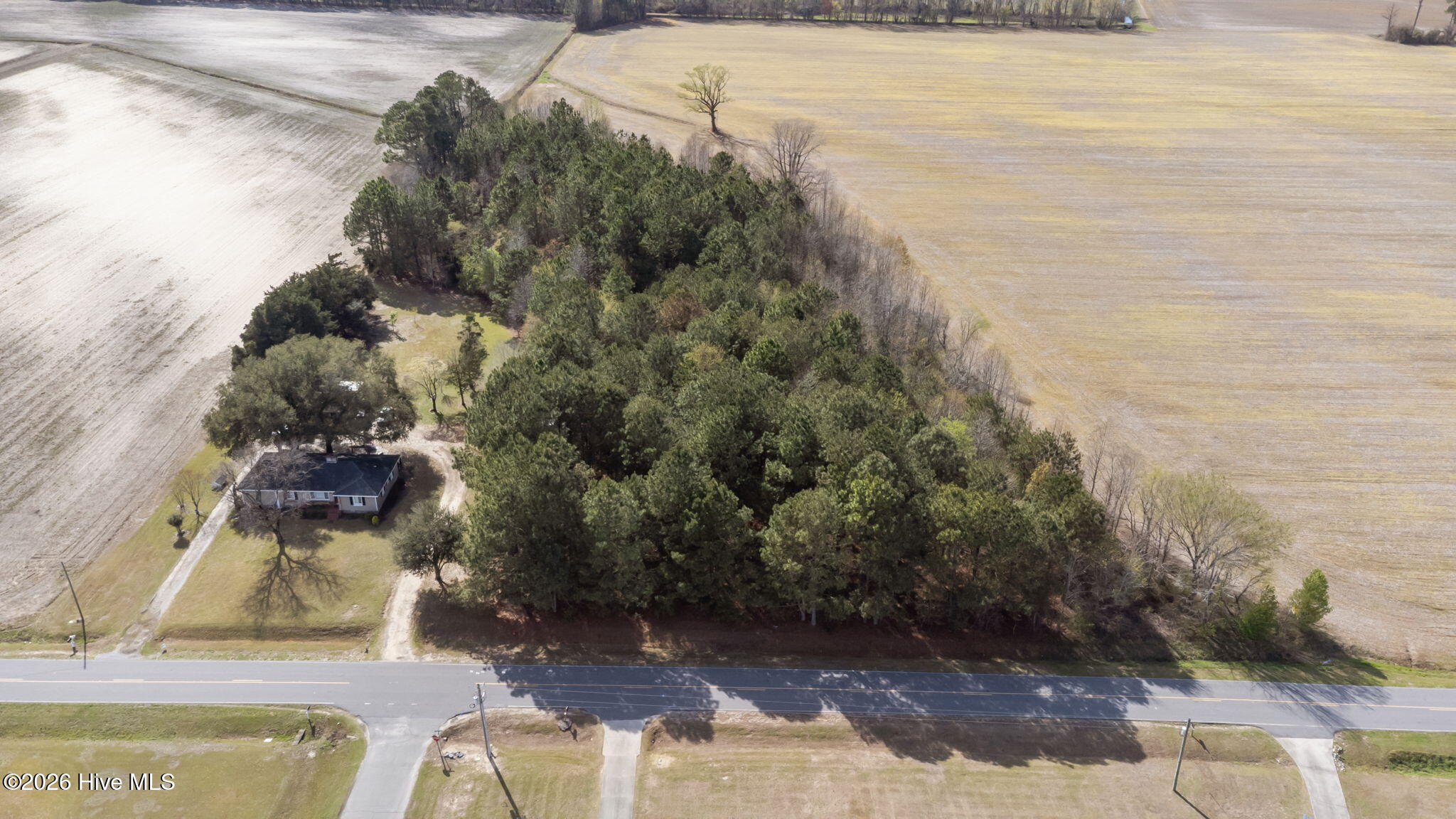 0 Louie Pollock Road La Grange, NC 28551 - Photo 11 of 11 10-web-or-mls-DJI_0846
