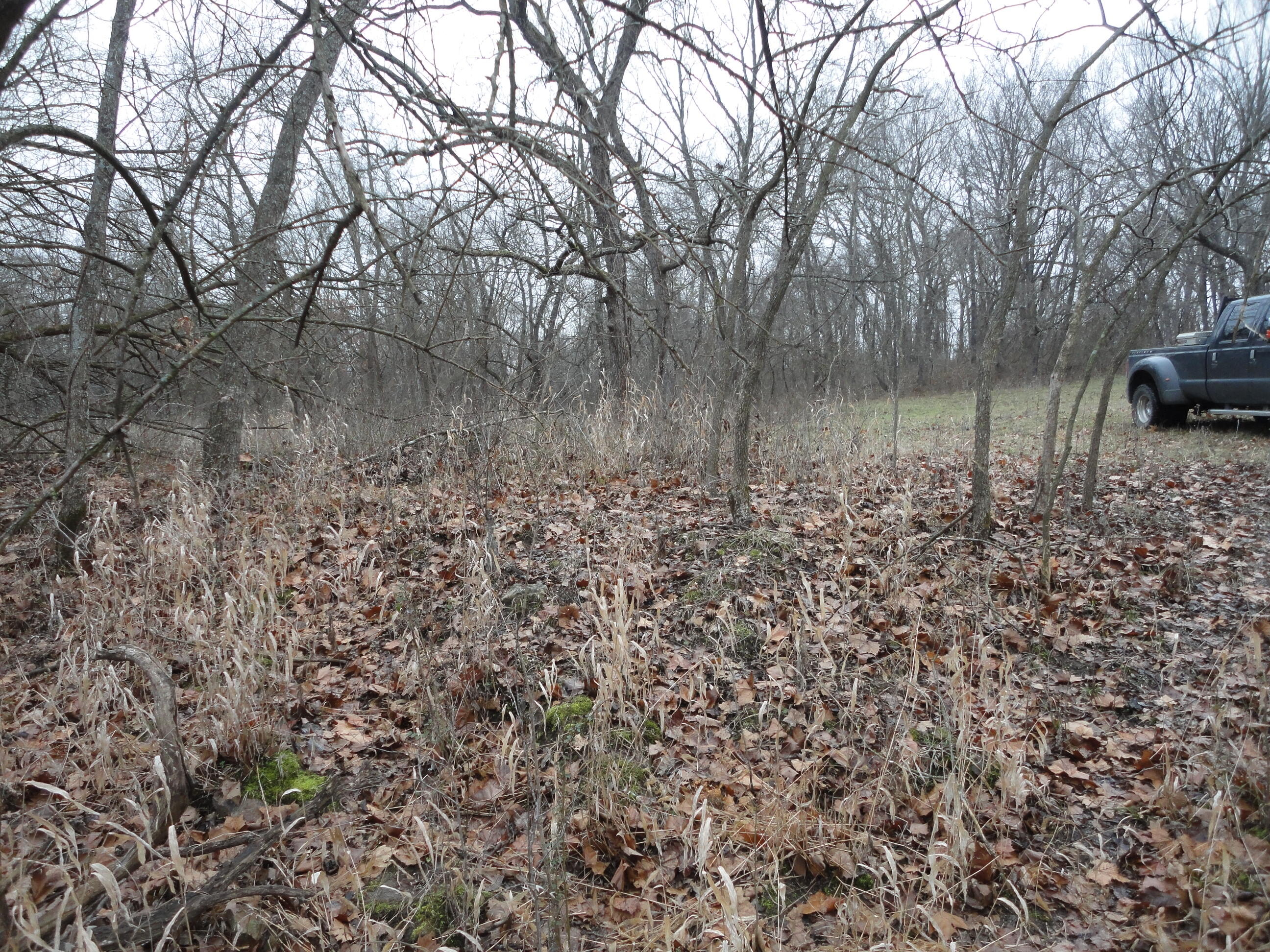 62305 East 270 Road Grove, OK 74344 - Photo 28 of 28 DSC03346