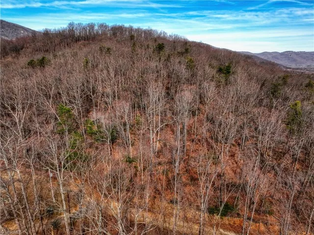 $125,900 | Tbd Ivy Green Trail, Lowgap, NC 27024