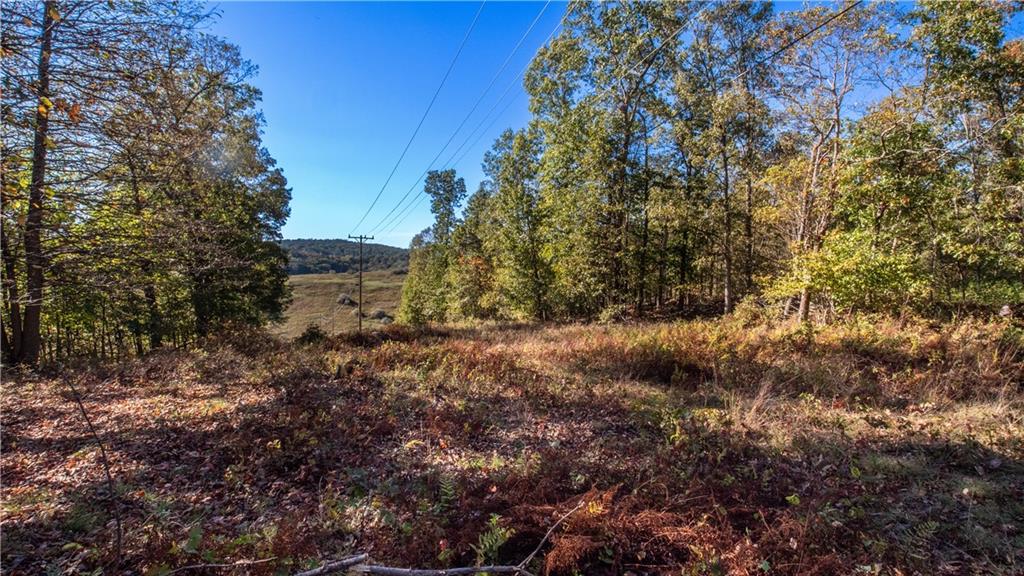 0 Country Road Dayton, PA 16222 - Photo 14 of 24 a view of a forest with trees