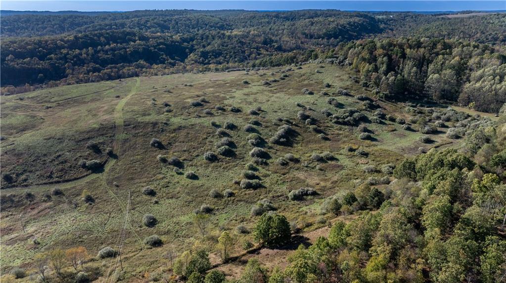 0 Country Road Dayton, PA 16222 - Photo 15 of 24 a view of a dry field covered with trees