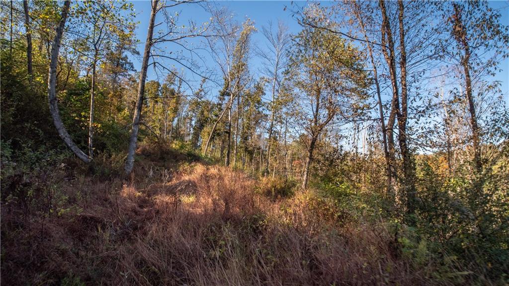 0 Country Road Dayton, PA 16222 - Photo 17 of 24 a view of a yard