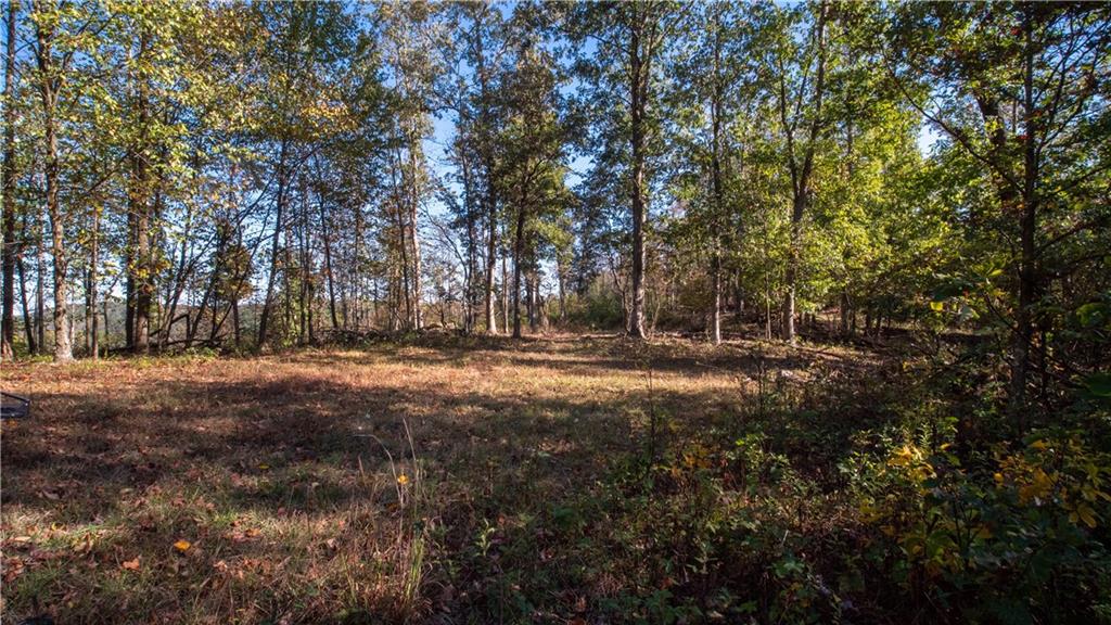 0 Country Road Dayton, PA 16222 - Photo 18 of 24 a view of outdoor space with trees