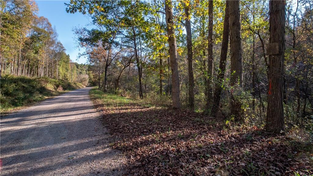 0 Country Road Dayton, PA 16222 - Photo 19 of 24 a view of a yard with plants and trees