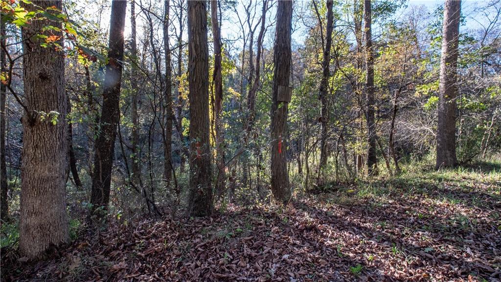 0 Country Road Dayton, PA 16222 - Photo 21 of 24 a view of forest
