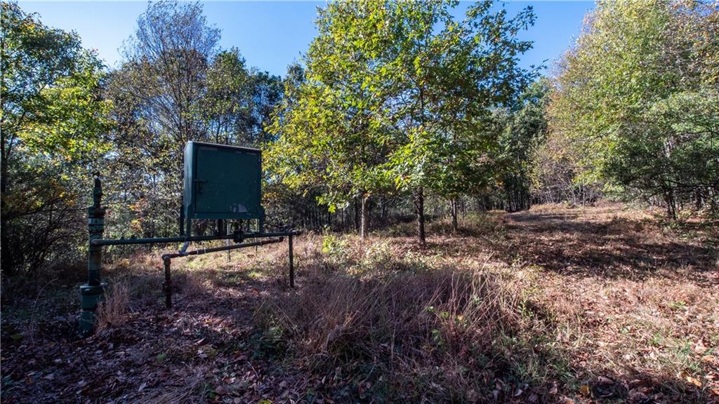 0 Country Road Dayton, PA 16222 - Photo 6 of 24